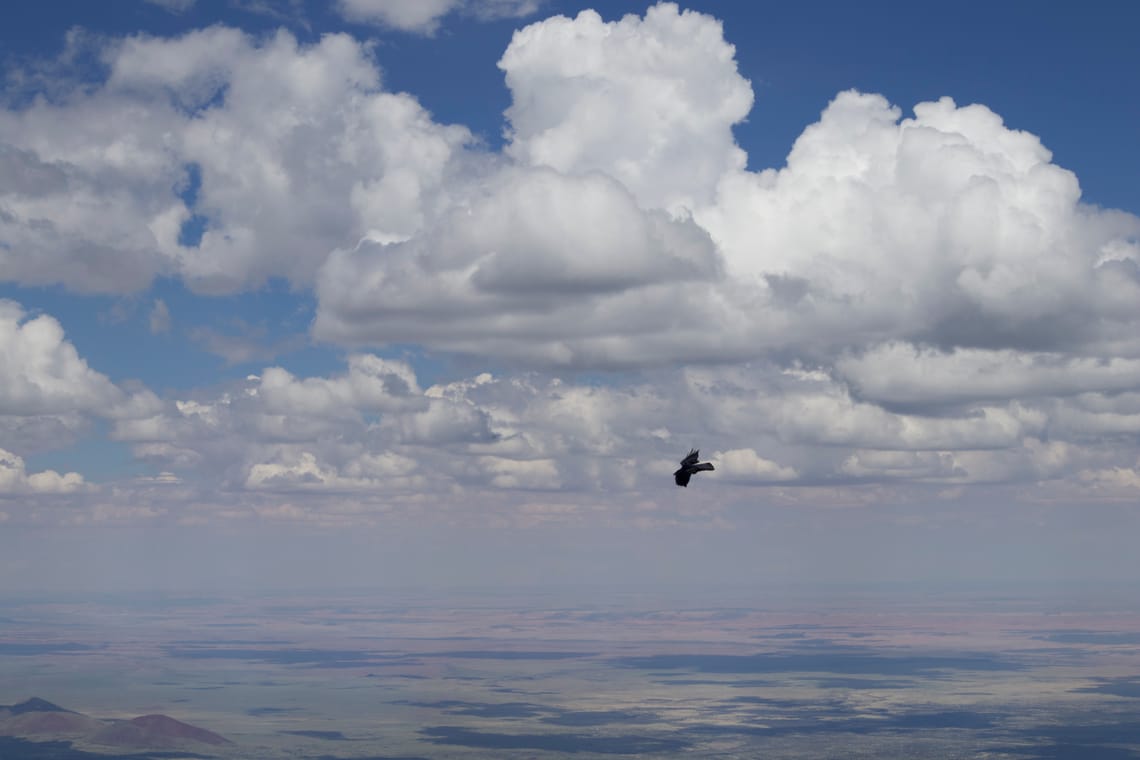Flying atop Mt. Humphreys