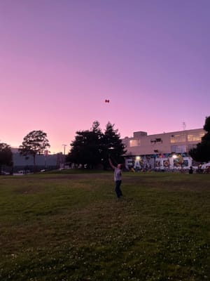 PDS diabolo